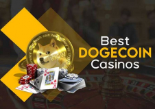 A Comprehensive Guide to Choosing the Best Dogecoin Casinos (1).jpg